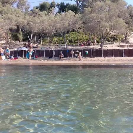 Asterias Aegina