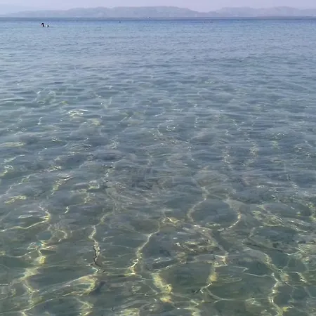 Asterias Aegina