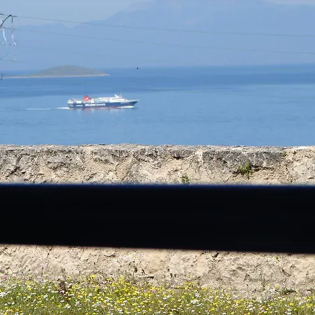 Asterias * Aegina